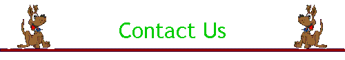 Contact Us