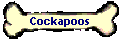 Cockapoos