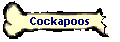 Cockapoos