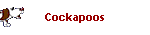 Cockapoos