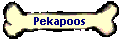Pekapoos