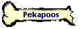Pekapoos