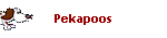 Pekapoos