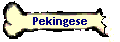 Pekingese