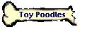 Toy Poodles