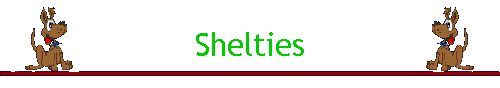 Shelties