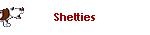 Shelties